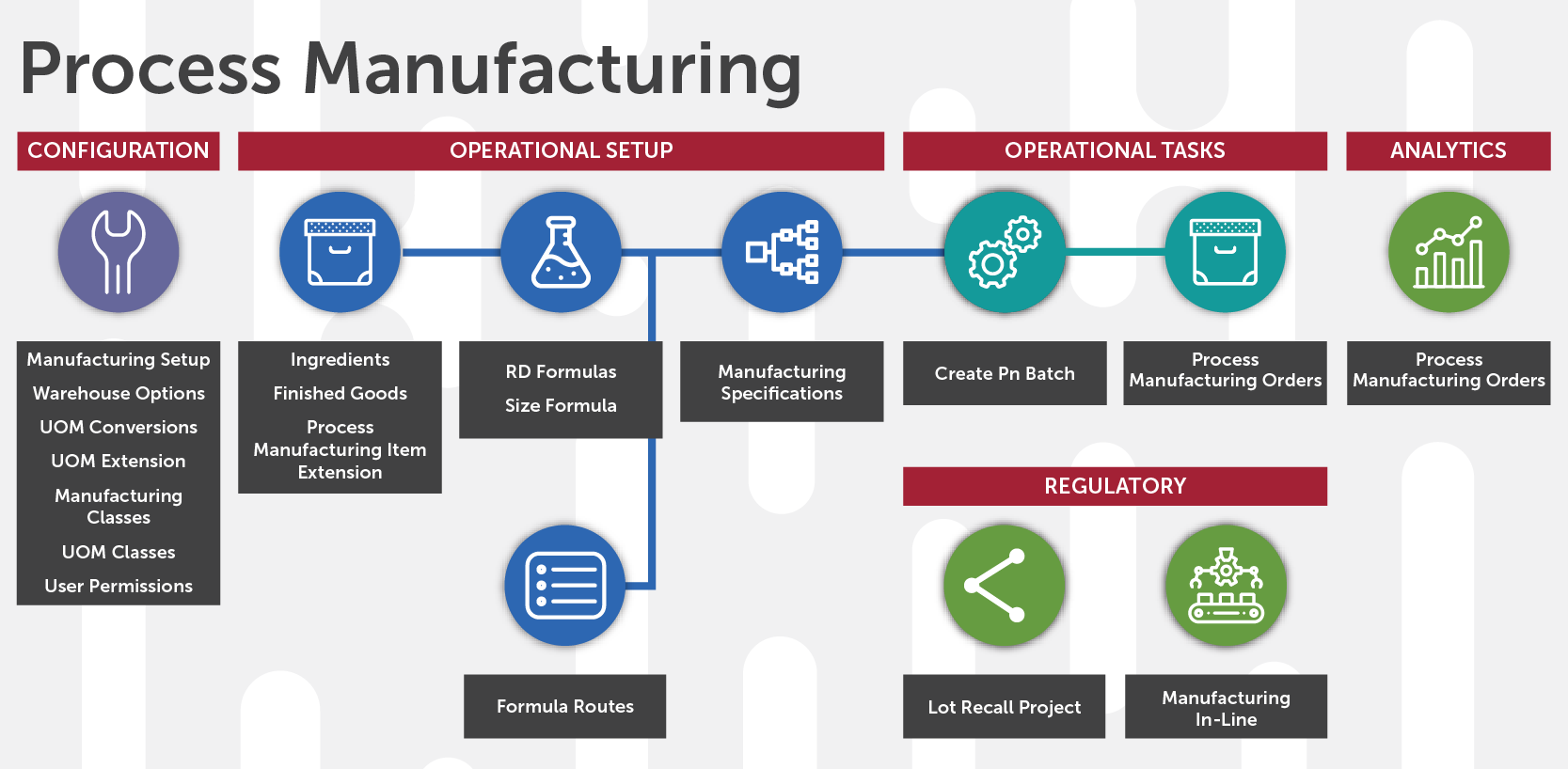 Infor CloudSuite Industrial for Process
